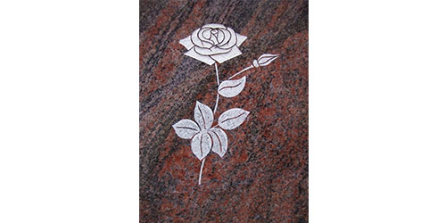 Lithogravure fleur rose blanche