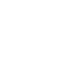 euro